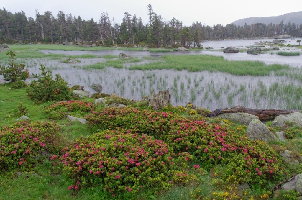 Améliorer la qualité de l'eau