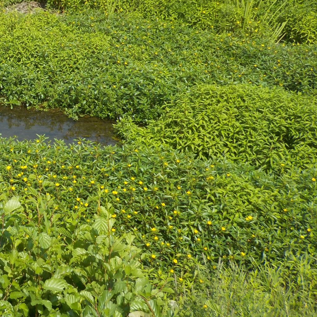 Nos supports d'information