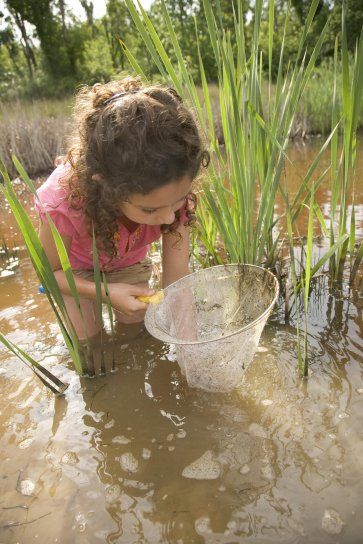 La mare aux Têt-ards